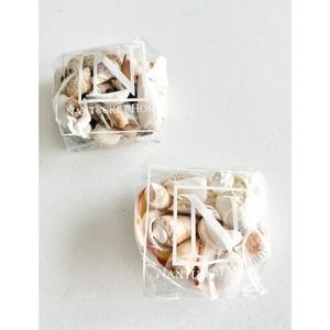 Nantucket Home Sea Shell Bags